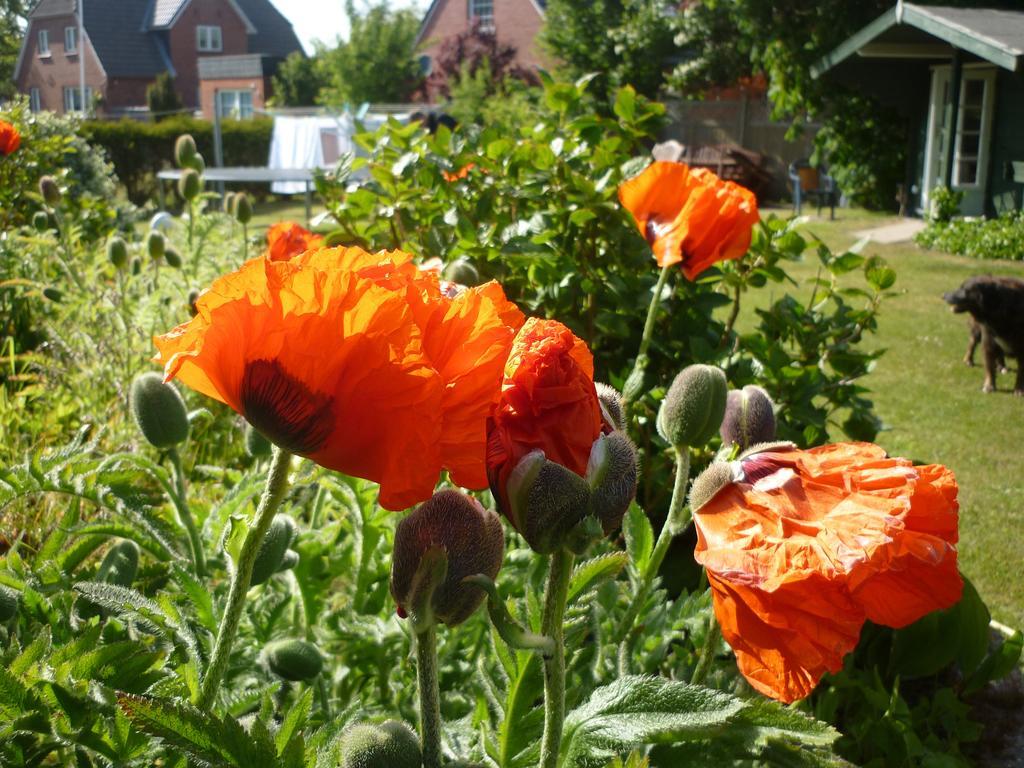 Pension Sturmmöwe Norddorf auf Amrum Exterior foto