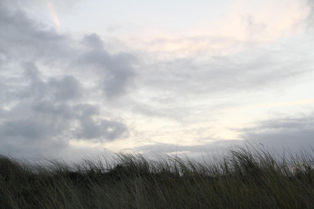 Pension Sturmmöwe Norddorf auf Amrum Exterior foto